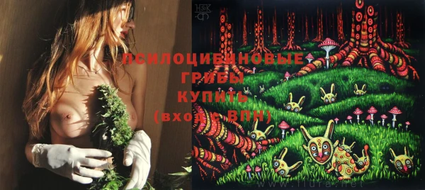 спайс Алексеевка