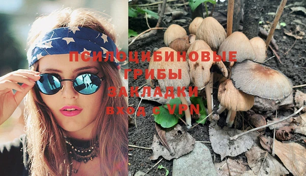 спайс Алексеевка