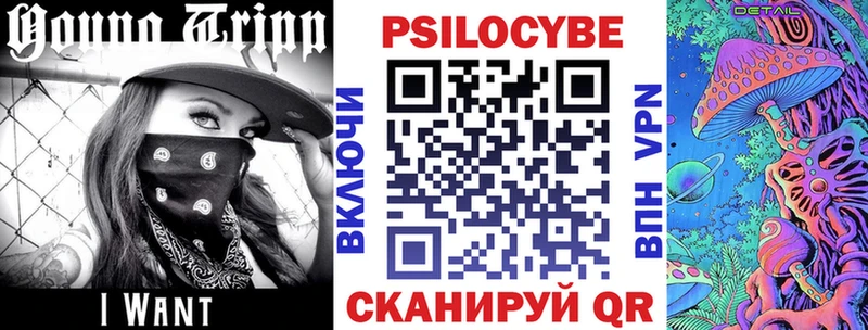 мега рабочий сайт  наркотики  Суджа  Псилоцибиновые грибы MAGIC MUSHROOMS 