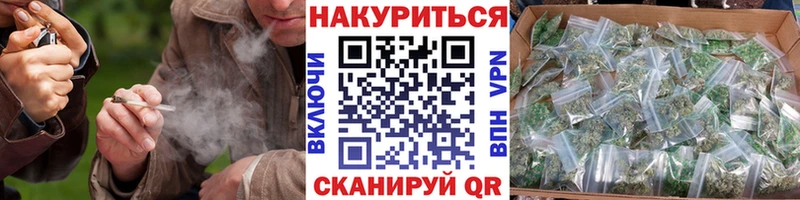 кракен как войти  Суджа  Канабис ГИДРОПОН 
